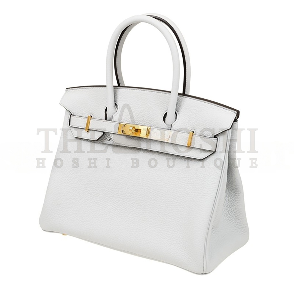 H**me5 BIRKIN 25 TOGO LEATHER HOLY GRAIL BLUE GOLD BUCKLE BAG H028369CC08 (25*20*13cm) Master Quality